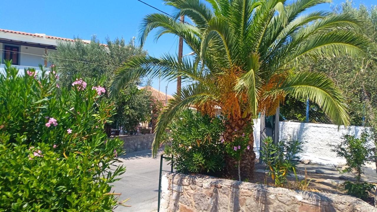 Aparthotel Anessis Cosmos Anaxos Exterior foto